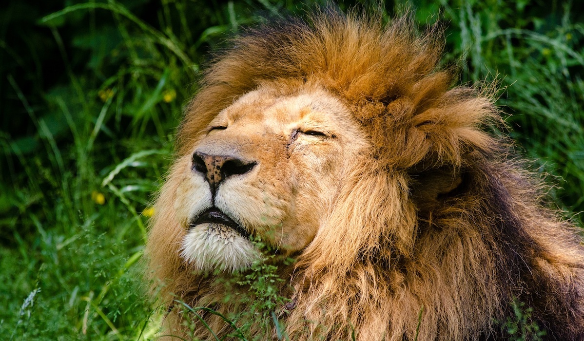 Die Höhle der Löwen“: 22 nachhaltige Produkte